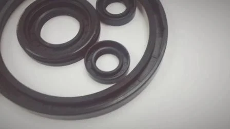 EPDM HNBR Neoprene Silicone FKM NBR  SC TC Skeleton Oil Seal for Hydraulic Sealing Black  Brown  Red  double lip  slingle lip