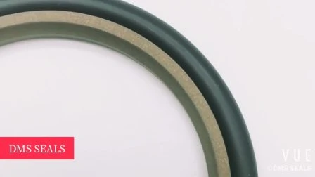 Hbts Gsj Bsj 40% Bronze PTFE Hydraulic Cylinder Reciprocating Motion Rod Buffer Shaft Oil Plastic Rubber Mechanical Step Seal