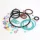 Different Size O Ring Abrasion Resistant O Rings PTFE NBR FKM Silicone PU HNBR Black Green Brown White Red O Ring Seals